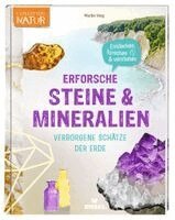 Martin Verg - Erforsche Steine & Mineralien - Verborgene Schätze der Erde, Häftad. Tillgänglighet: Lägg i varukorg