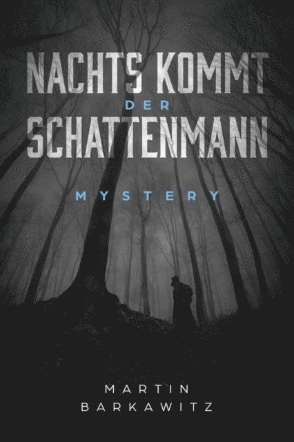 Martin Barkawitz - Nachts kommt der Schattenmann, E-bok