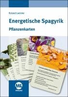 Roland Lackner - Energetische Spagyrik - Pflanzenkarten, Häftad