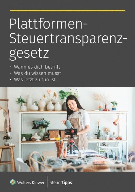 Maike Backhaus - Dein Guide zum Plattformen-Steuertransparenzgesetz, E-bok