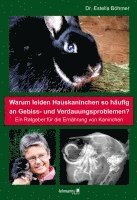 Estella Böhmer - Warum leiden Hauskaninchen so häufig an Gebiss- und Verdauungsproblemen?, Häftad