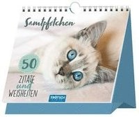 Trtsch Tischaufsteller Sprche und Zitate zum Aufstellen Katzen