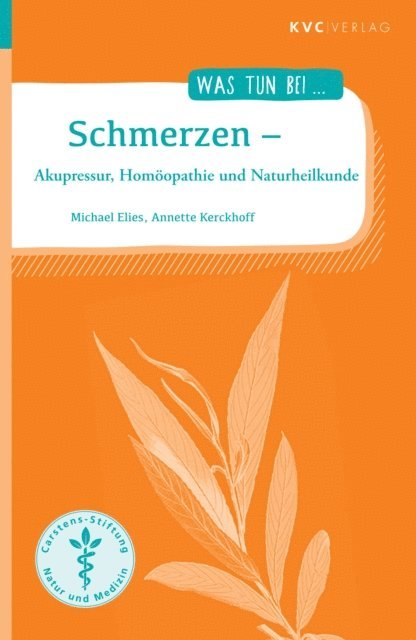 Annette Kerckhoff, Michael Elies - Schmerzen, E-bok