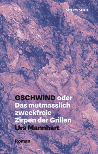 Urs Mannhart - Gschwind, E-bok