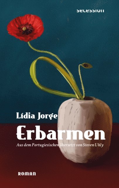 Lidia Jorge - Erbarmen, E-bok