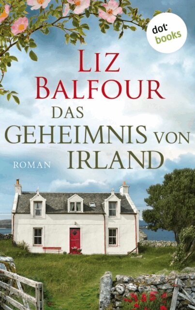 Liz Balfour - Das Geheimnis von Irland - oder: Ich schreib dir sieben Jahre, E-bok