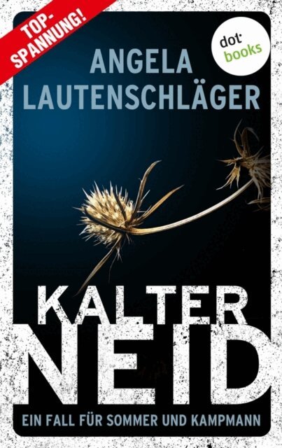 Angela Lautenschlager - Kalter Neid, E-bok