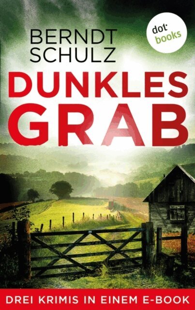 Berndt Schulz - Dunkles Grab, E-bok