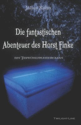 Julius Kuhn - fantastischen Abenteuer des Horst Finke, Häftad