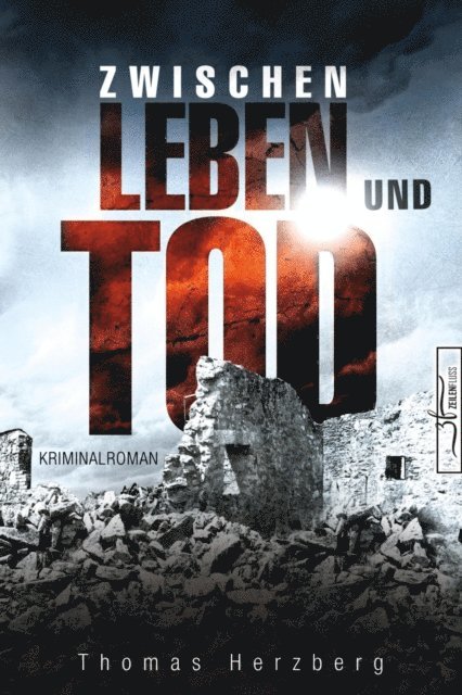 Thomas Herzberg - Zwischen Leben und Tod, E-bok