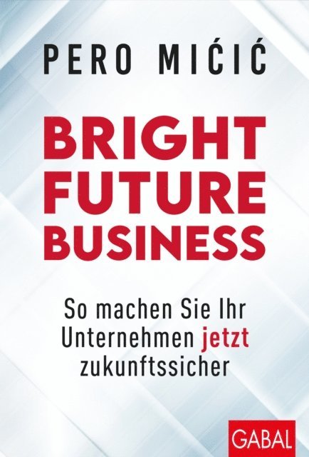 Pero Micic - Bright Future Business, E-bok