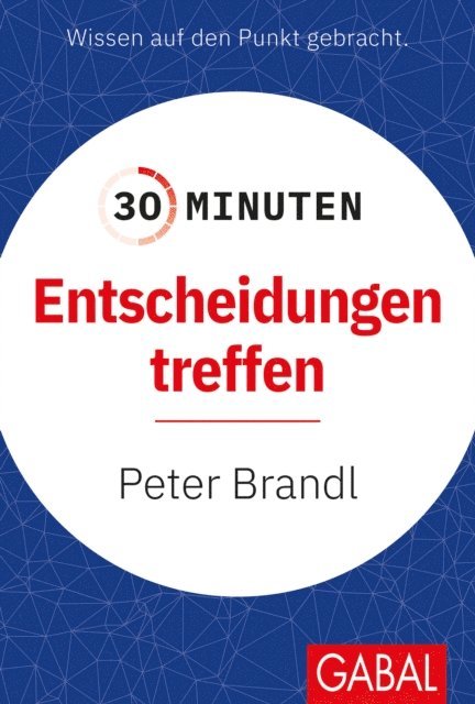 Peter Brandl - 30 Minuten Entscheidungen treffen, E-bok