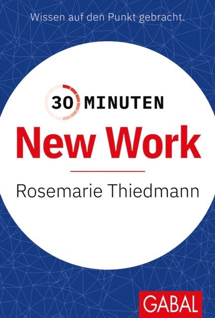 Rosemarie Thiedmann - 30 Minuten New Work, E-bok
