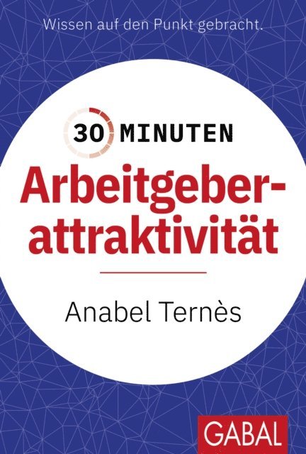 Anabel Ternes - 30 Minuten Arbeitgeberattraktivität, E-bok