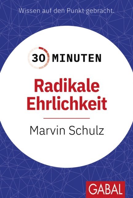 Marvin Schulz - 30 Minuten Radikale Ehrlichkeit, E-bok