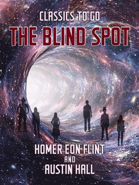 Homer Eon Flint - Blind Spot, E-bok