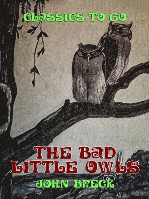 John Breck - Bad Little Owls, E-bok