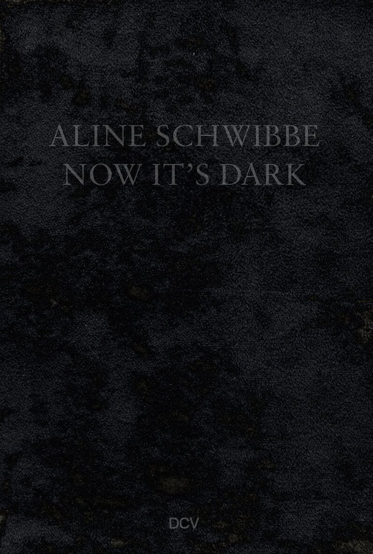 Hans-Jörg Clement, Nadine Isabelle Henrich, Beate Scheder, Aline Schwibbe - Aline Schwibbe – Now It’s Dark, Häftad