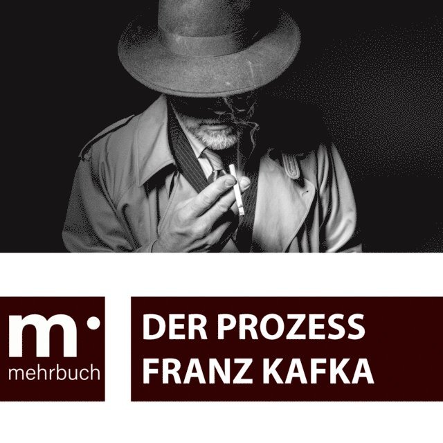 Franz Kafka - Der Prozess, E-bok