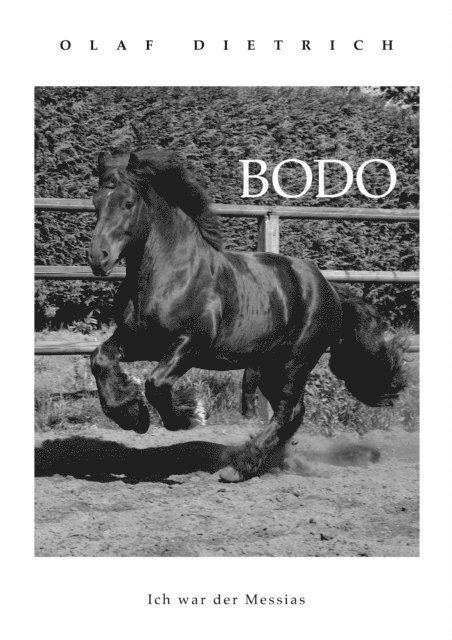 Olaf Dietrich - BODO, E-bok