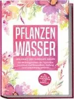 Verena Grapengeter - Pflanzenwasser: Heilkraft der floralen Seelen - Die Wirkungsweisen der Hydrolate verstehen und Gesundheit, Heilung und Entspannung erfahren inkl. Anleitung, um Pflanzenwässer selbst herzustellen, Häftad. Tillgänglighet: Lägg i varukorg
