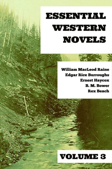 Edgar Rice Burroughs, Ernest Haycox, William MacLeod Raine, B. M. Bower, Rex Beach - Essential Western Novels - Volume 3, E-bok
