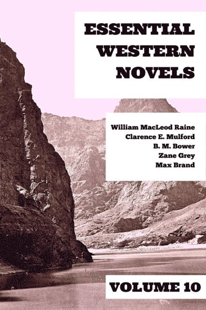 B. M. Bower, William MacLeod Raine, Clarence E. Mulford, Max Brand, Zane Grey - Essential Western Novels - Volume 10, E-bok