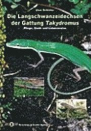 Uwe Schlüter - Die Langschwanzeidechsen der Gattung Takydromus, Häftad