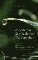 Lama Thubten Yeshe - Meditieren. Selber denken. Tief verstehen, Häftad