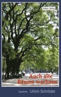 Ulrich Schröder - Auch alte Bäume wachsen, Häftad. Tillgänglighet: Lägg i varukorg