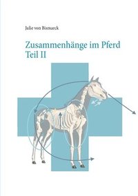Zusammenhänge im Pferd Teil II