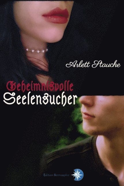 Arlett Stauche, Edition Sternsaphir - Geheimnisvolle Seelensucher, E-bok