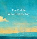Puddle Who Held the Sky