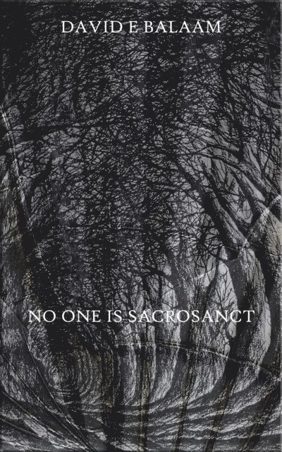 David Balaam - No One Is Sacrosanct, E-bok