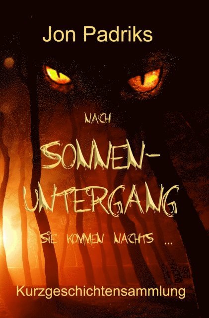Jon Padriks - Nach Sonnenuntergang, E-bok