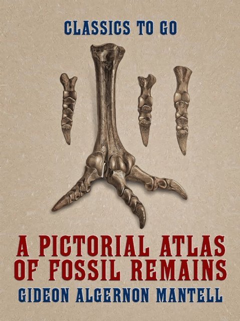 Gideon Algernon Mantell - Pictorial Atlas of Fossil Remains, E-bok