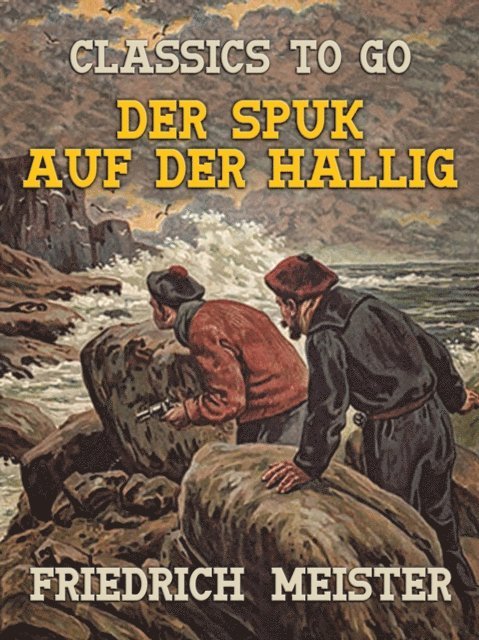 Friedrich Meister - Der Spuk auf der Hallig, E-bok