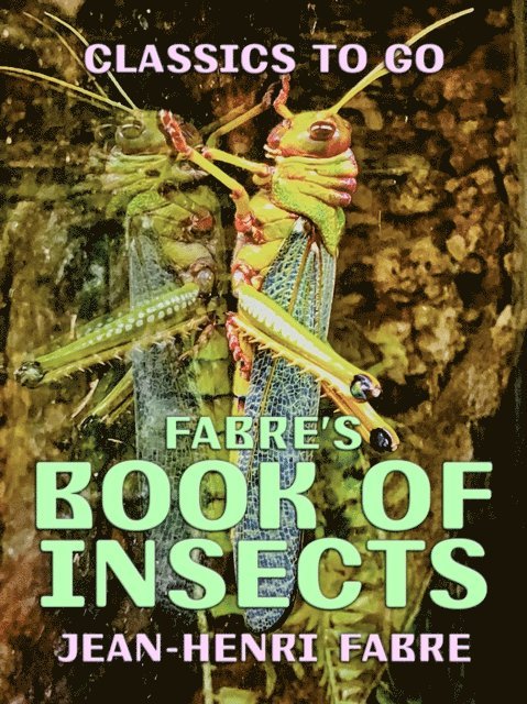 Jean-Henri Fabre - Fabre's Book of Insects, E-bok