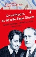 »Sweetheart, es ist alle Tage Sturm« Lyonel Feininger - Briefe an Julia