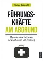 Michael Birkenbihl - Führungskräfte am Abgrund, Häftad