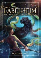 Brandon Mull - Fabelheim Band 2, Häftad