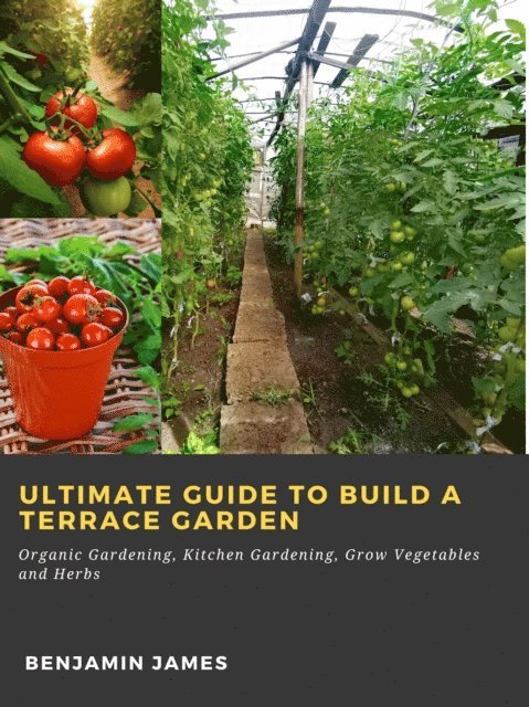 Benjamin James - Ultimate Guide to Build a Terrace Garden: Organic Gardening, Kitchen Gardening, Grow Vegetables and Herbs, E-bok