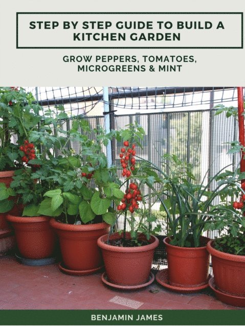 Benjamin James - Step by Step Guide to Build a Kitchen Garden: Grow Peppers, Tomatoes, Microgreens & Mint, E-bok
