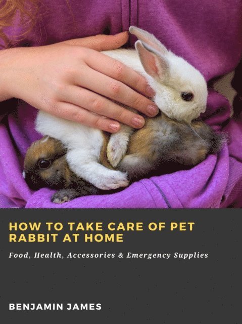 Benjamin James - How to Take Care of Pet Rabbit at Home: Food, Health, Accessories & Emergency Supplies, E-bok