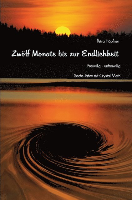 Petra Hopfner - Zwölf Monate bis zur Endlichkeit, E-bok
