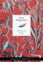 Soma Morgenstern - Idyll im Exil, Häftad