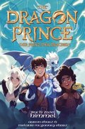 Dragon Prince ? Der Prinz der Drachen Buch 2: Himmel (Roman)