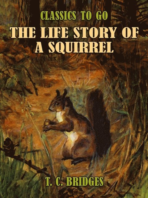 Life Story of A Squirrel