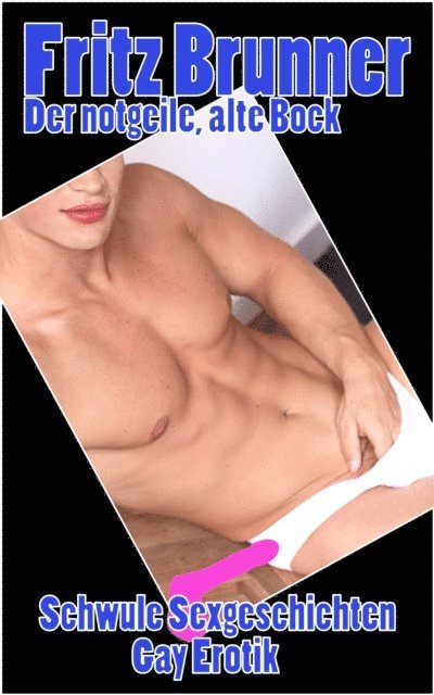 Fritz Brunner - Gay Erotik, E-bok