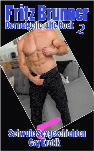 Fritz Brunner - Gay Erotik, E-bok